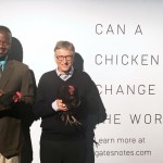 Kampanye “Coop Deams”, 100ribu ayam dari Bill Gates