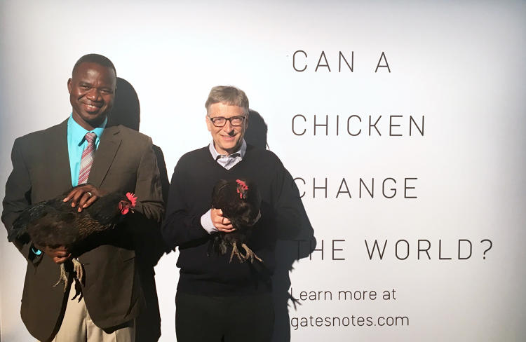 Bill Gates Can A Chicken Change The World