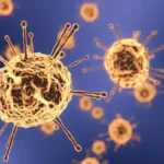 Virus Hanta
