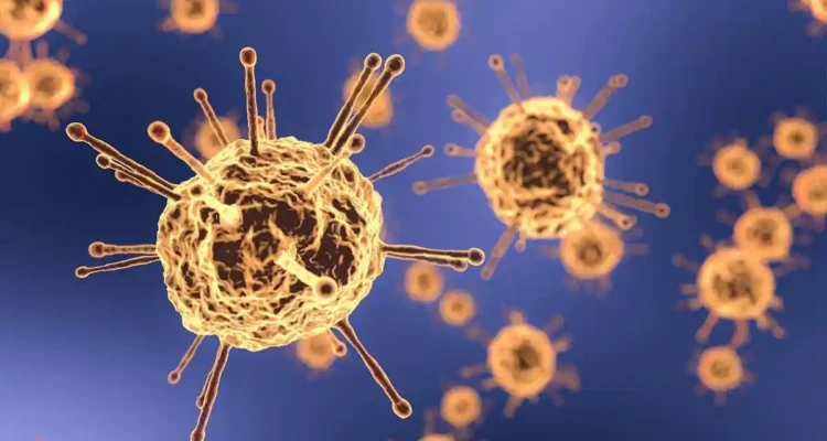 Virus Hanta