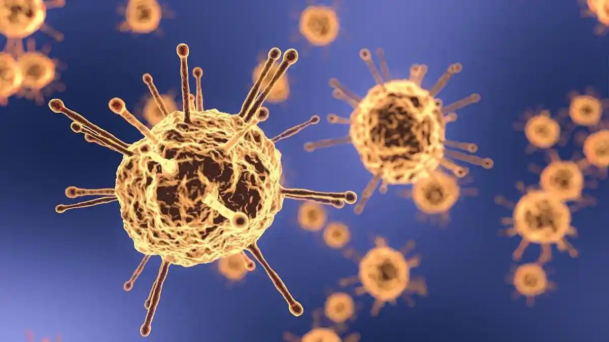 Virus Hanta