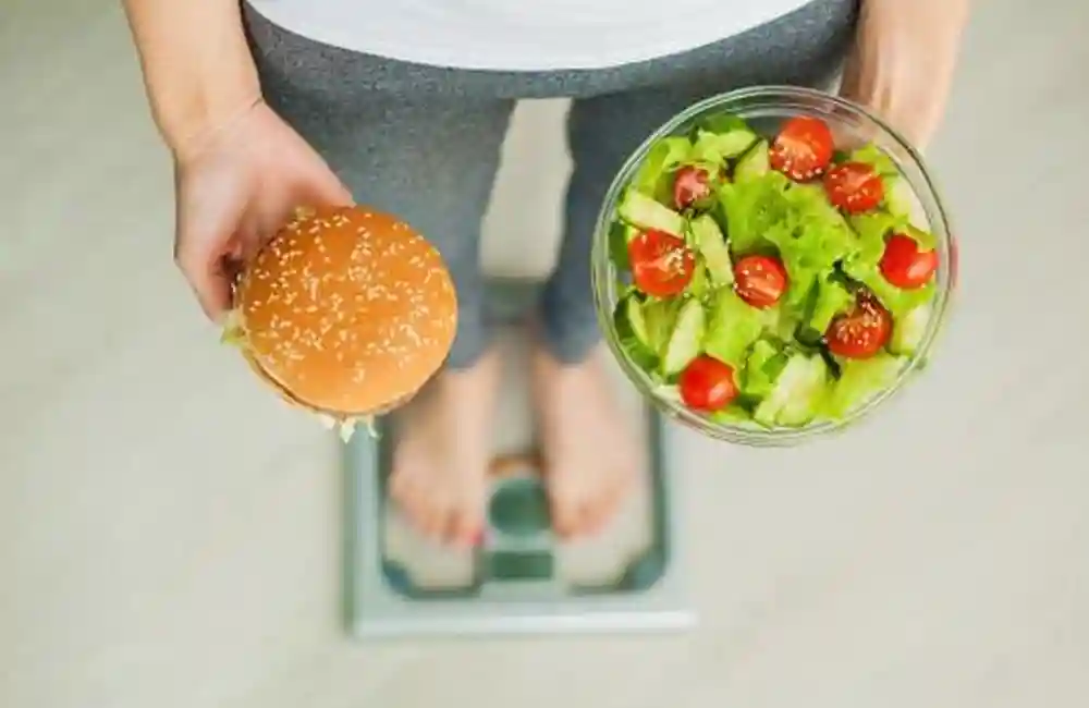 Diet Sehat