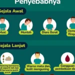 Gejala Hepatitis yang Sering Diabaikan, Kenali Tanda Awalnya Sebelum Terlambat