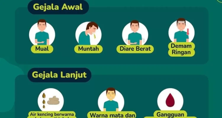 Gejala Hepatitis yang Sering Diabaikan, Kenali Tanda Awalnya Sebelum Terlambat