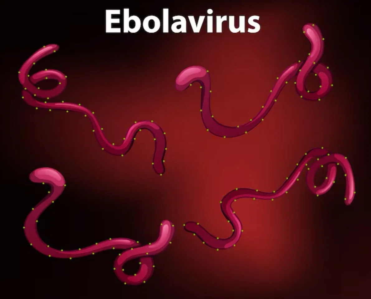 Virus Ebola, Penyakit Mematikan yang Membuat Dunia Kesehatan Selalu Waspada